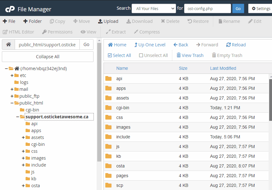 Copying config file in cPanel