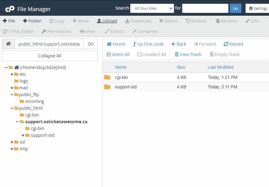 Uploading files in cPanel